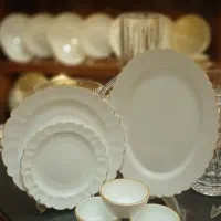 سرویس آرکوپال دینو زیر قیمت کارخانه