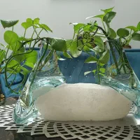گلدون ترکیبی شیشه و سنگ نمک دفرمه ایده آل