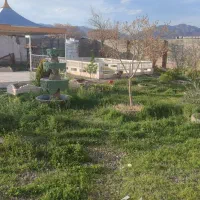 اجاره باغ ویلا کاشمر فقط مسافران عزیز