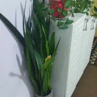 گل فروشی
