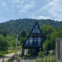 اجاره کلبه سوییسی