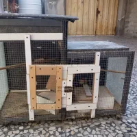 قفس|لوازم جانبی حیوانات|بوشهر, |دیوار