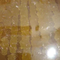 پخش نبات اصفهان در خوزستان