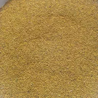 بذریونجه پایه بلند همدان
