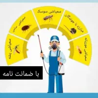 سم پاشی موریانه. ساس