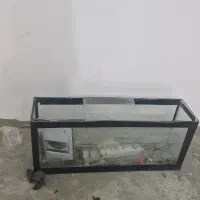 آکواریوم