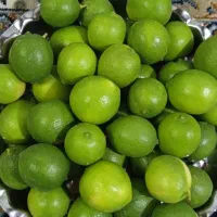 فروش لیمو تازه رودان