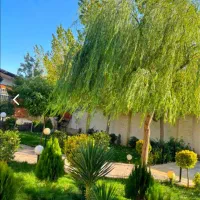 نیروی خدمات