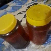عسل طبیعی بهاره با کیفیت عالی از باغات فسارود