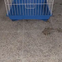 قفس