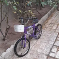 دوچرخه شانزده