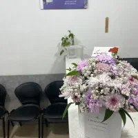لیزرمو کاملا شرعی /ساخت آلمان / مطب پزشک