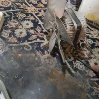 هواکش