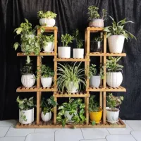 استندجاگلدان جهت شادابی گل ها