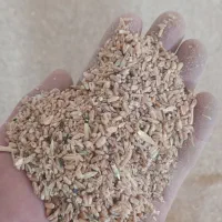 نیم دانه گندم درجه یک