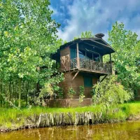 دوبلکس جنگلی شمال کشور