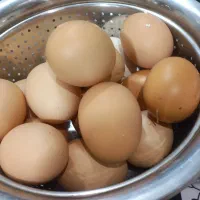 تخم مرغ خانگی دونه ای 18