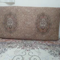 ۶عددپشتی سالم