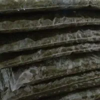 قورمه سبزی