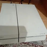 ps4 500 g fat