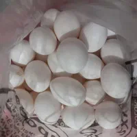 تخمرغ