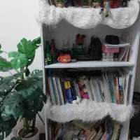 شلف و کتابخانه