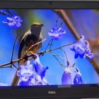 لپ تاپ i7 گیم و طراحی رم 16 گرافیک 4 گیگ واقعی