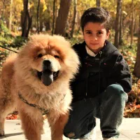 عکاسی کودک و نوجوان فضای باز