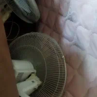 پنکه|پنکه و تصفیه‌کنندهٔ هوا|اصفهان, زهران|دیوار