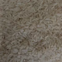 برنج طارم    امساله. (کشت جدید ) بدون سم
