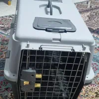 باکس پت خانگی سگ