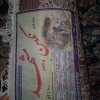 فرش 6 متری