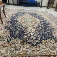 قالی الماس   ابریشمی و بوفه