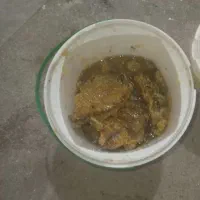 عسل کوهی اصل