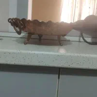دیس مسی
