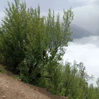 قابل توجه سرمایه گذران غرب مازندران رامسرشهسوار