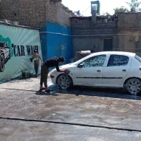 نیرو کارواش