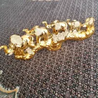 فیل