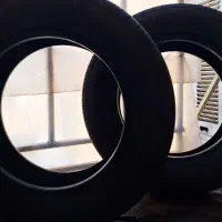لاستیک 206