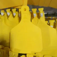 پلاک پرگاس سایز بزرگ و سایز کوچک