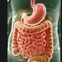 گوارش و یبوست