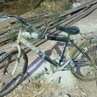دوچرخه ۲۴