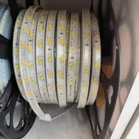 ۴۰ متر نور مخفی شلنگی