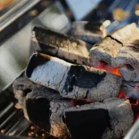 ذغال تک فروشی به قیمت عمده فروشی