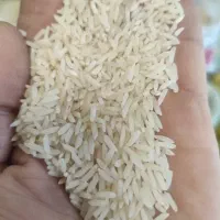 فروش برنج خونگی