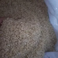 مقداری برنج کامفیروزی درجه یک تازه آسیاب شده