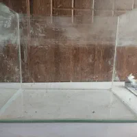 اکواریوم