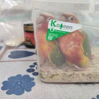 گرینچیک دون خور