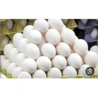 تخم مرغ تازه تاریخ جدید