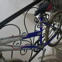 دوچرخه ۲۴ پلیس
